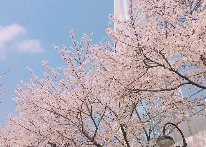 룸101 아파트